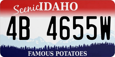 ID license plate 4B4655W