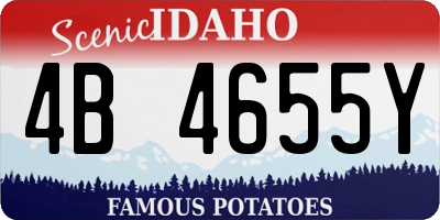 ID license plate 4B4655Y