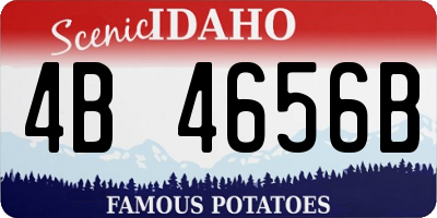 ID license plate 4B4656B