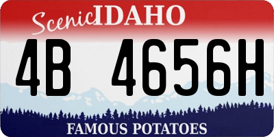 ID license plate 4B4656H