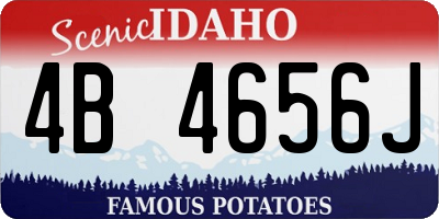 ID license plate 4B4656J