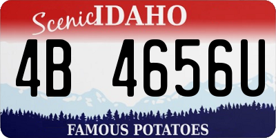 ID license plate 4B4656U