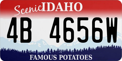ID license plate 4B4656W
