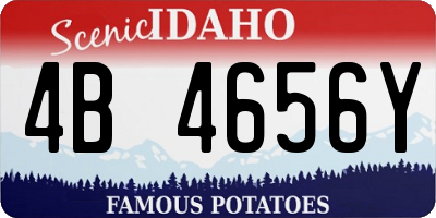 ID license plate 4B4656Y