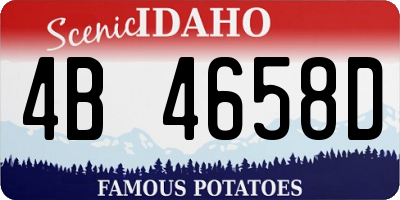 ID license plate 4B4658D