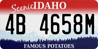 ID license plate 4B4658M