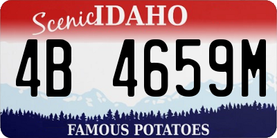 ID license plate 4B4659M