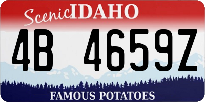 ID license plate 4B4659Z