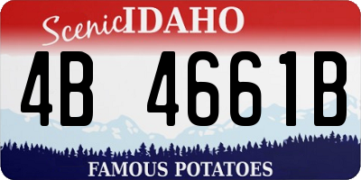 ID license plate 4B4661B
