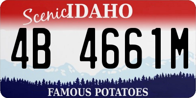 ID license plate 4B4661M