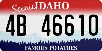ID license plate 4B4661O