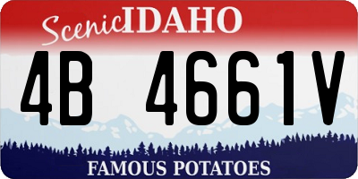 ID license plate 4B4661V
