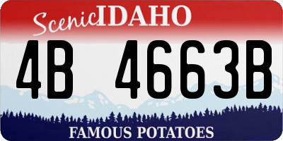 ID license plate 4B4663B