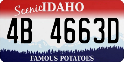 ID license plate 4B4663D