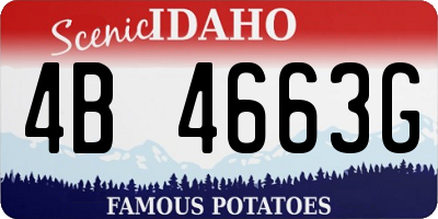 ID license plate 4B4663G