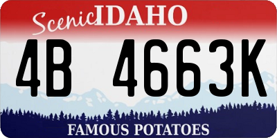 ID license plate 4B4663K