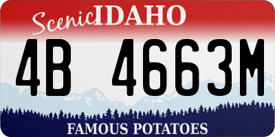 ID license plate 4B4663M