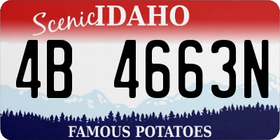 ID license plate 4B4663N