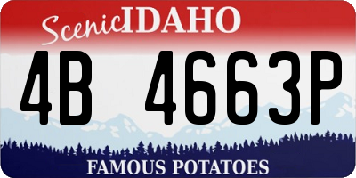 ID license plate 4B4663P