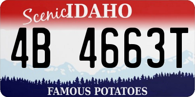 ID license plate 4B4663T