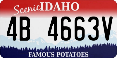 ID license plate 4B4663V