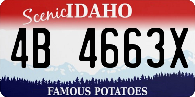 ID license plate 4B4663X
