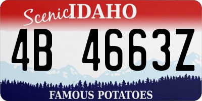 ID license plate 4B4663Z