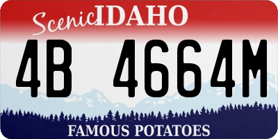 ID license plate 4B4664M