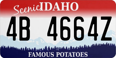 ID license plate 4B4664Z