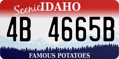 ID license plate 4B4665B