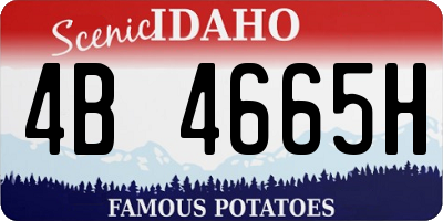 ID license plate 4B4665H