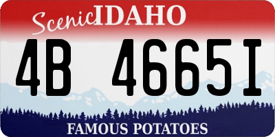 ID license plate 4B4665I
