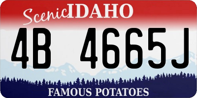 ID license plate 4B4665J