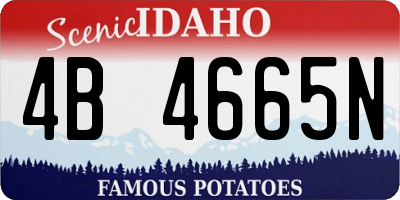 ID license plate 4B4665N