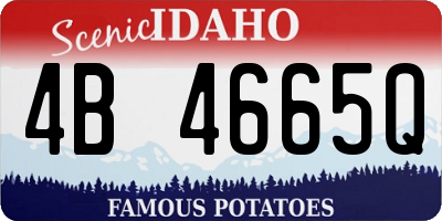 ID license plate 4B4665Q
