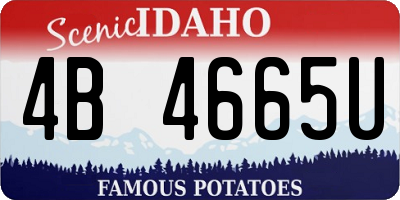 ID license plate 4B4665U
