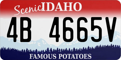 ID license plate 4B4665V