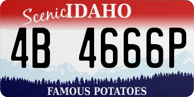 ID license plate 4B4666P