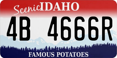 ID license plate 4B4666R