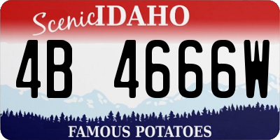ID license plate 4B4666W