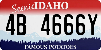 ID license plate 4B4666Y