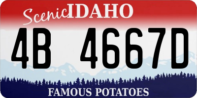 ID license plate 4B4667D