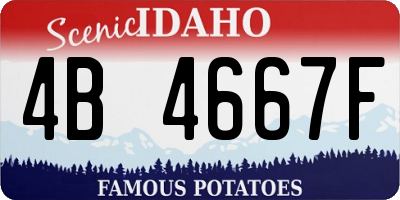ID license plate 4B4667F