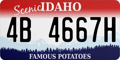 ID license plate 4B4667H