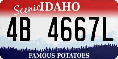 ID license plate 4B4667L