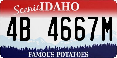 ID license plate 4B4667M