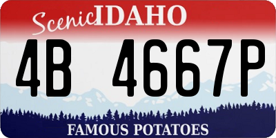 ID license plate 4B4667P