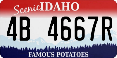 ID license plate 4B4667R