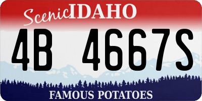 ID license plate 4B4667S