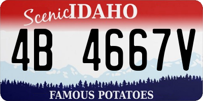 ID license plate 4B4667V